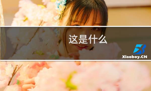 这是什么?