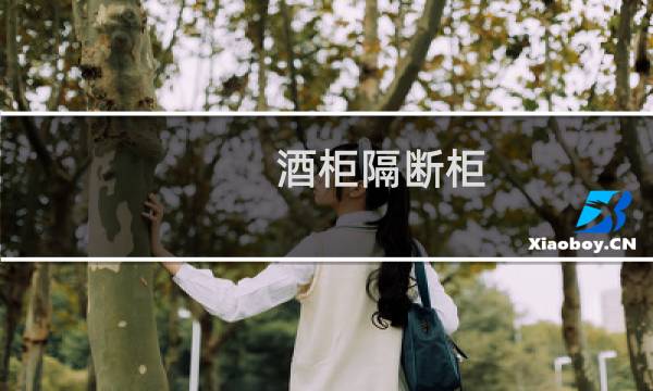 酒柜隔断柜