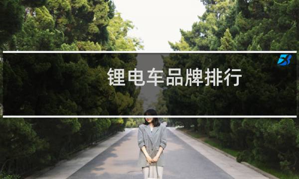 锂电车品牌排行(锂电池品牌排行榜电动车)
