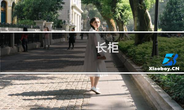 长柜(柜是什么意思)
