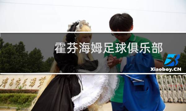霍芬海姆足球俱乐部