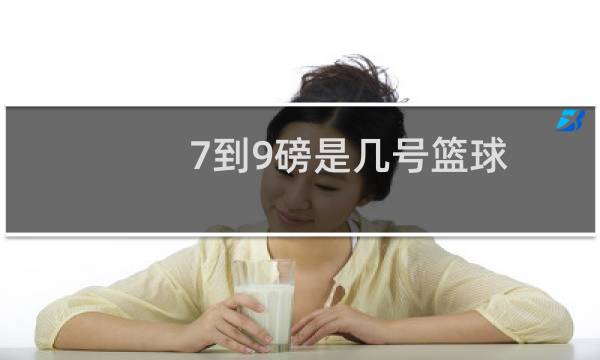 7到9磅是几号篮球图片