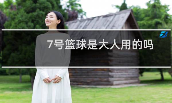 7号篮球是大人用的吗图片