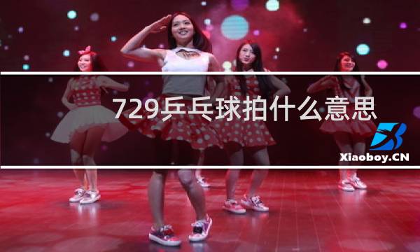 729乒乓球拍什么意思图片