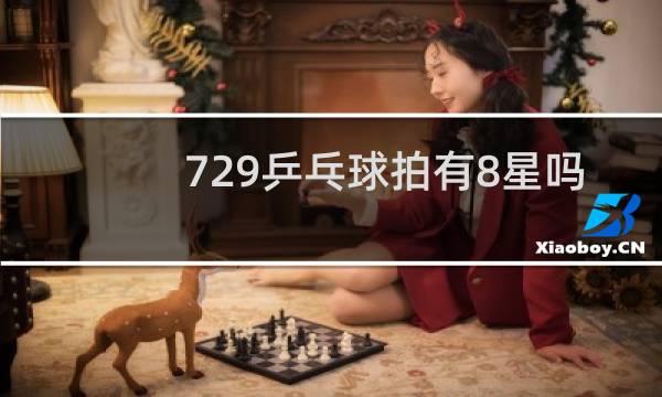 729乒乓球拍有8星吗图片
