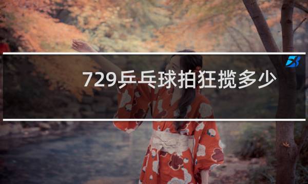729乒乓球拍狂揽多少钱图片