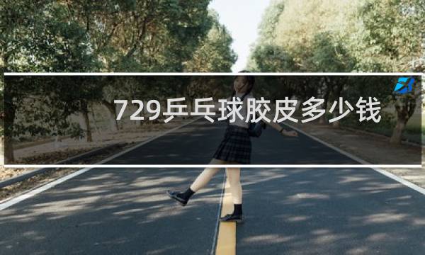 729乒乓球胶皮多少钱图片