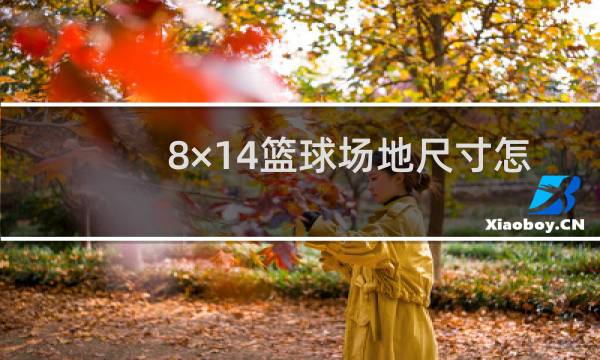 8×14篮球场地尺寸怎么画图片