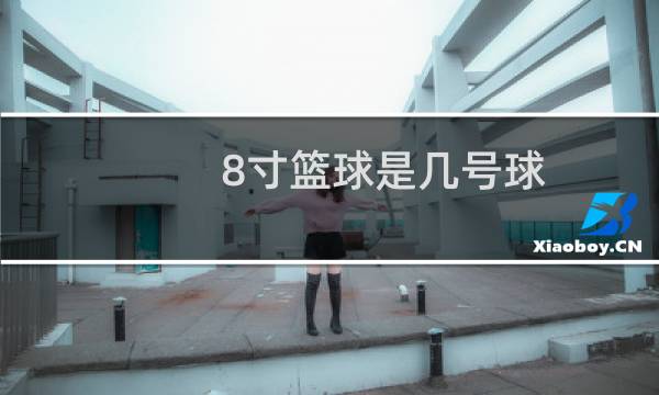 8寸篮球是几号球图片