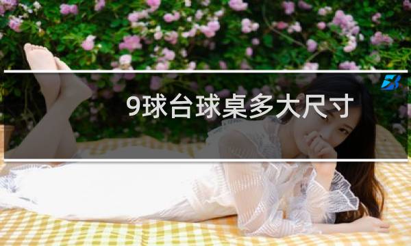 9球台球桌多大尺寸图片