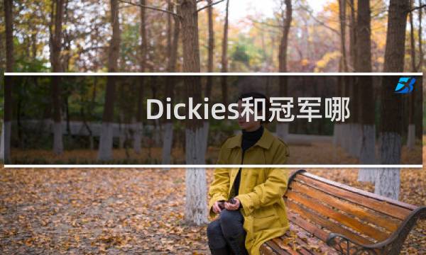 Dickies和冠军哪个好图片