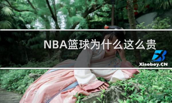 NBA篮球为什么这么贵图片