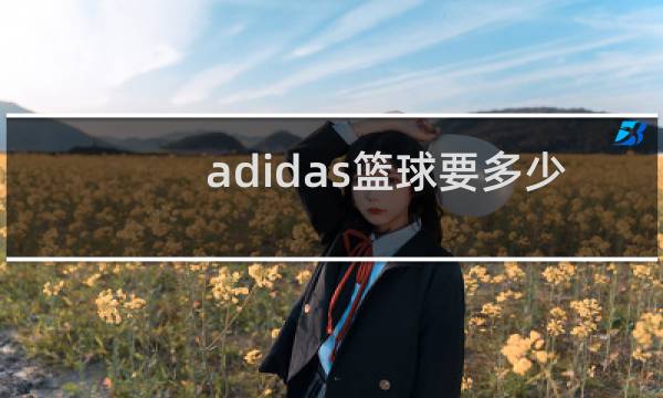 adidas篮球要多少钱图片