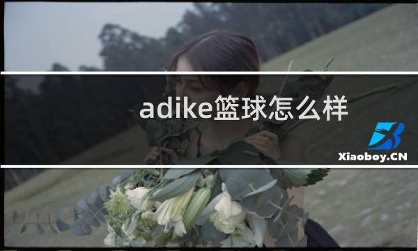 adike篮球怎么样图片