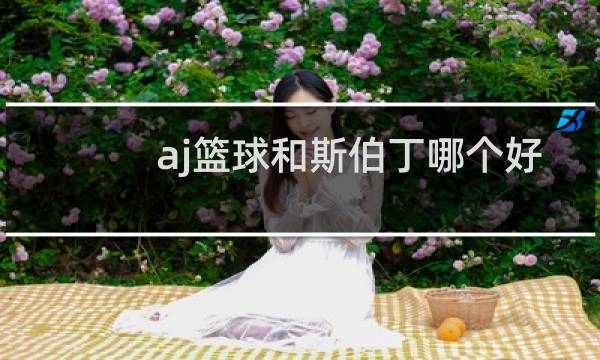 aj篮球和斯伯丁哪个好图片