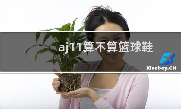 aj11算不算篮球鞋图片