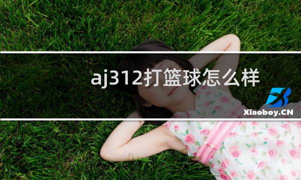 aj312打篮球怎么样图片