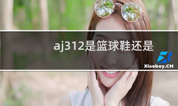 aj312是篮球鞋还是休闲鞋图片