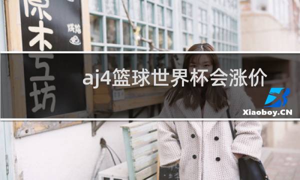 aj4篮球世界杯会涨价吗图片