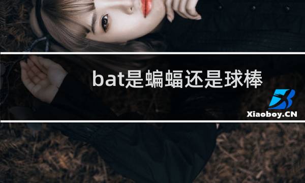 bat是蝙蝠还是球棒图片