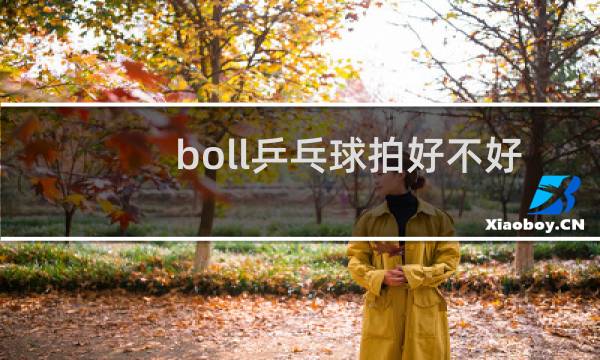 boll乒乓球拍好不好图片