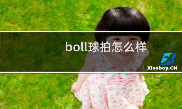 boll球拍怎么样图片