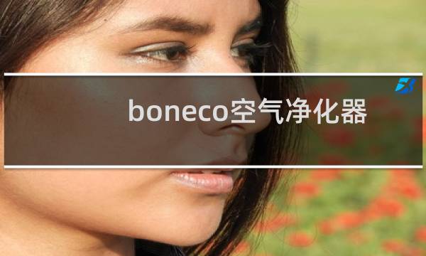 boneco空气净化器 - boneco空气净化器是什么牌子