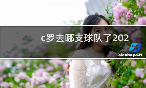 c罗去哪支球队了2021图片