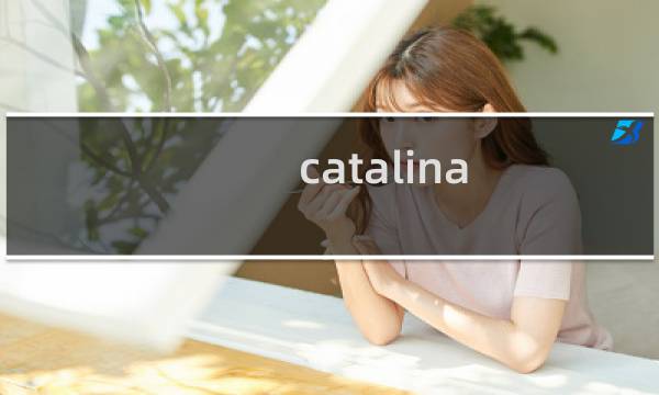 catalina.out日志清理 - linux系统盘和数据盘区别