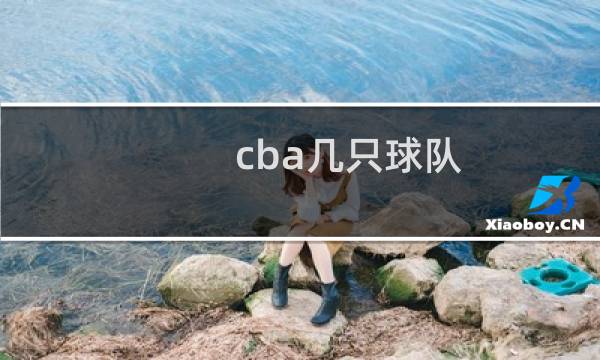 cba几只球队图片