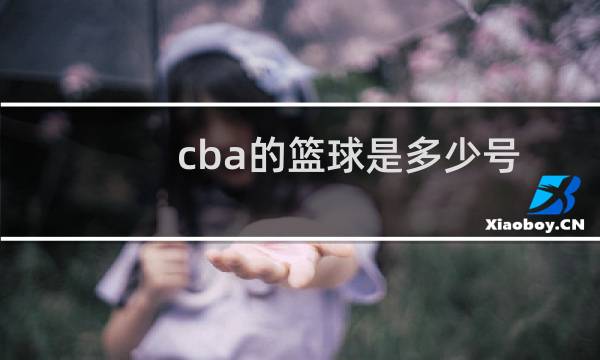 cba的篮球是多少号图片
