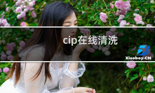 cip在线清洗 - CIP自动清洗