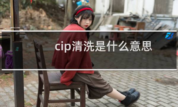 cip清洗是什么意思 - cip清洗与cip清洗系统