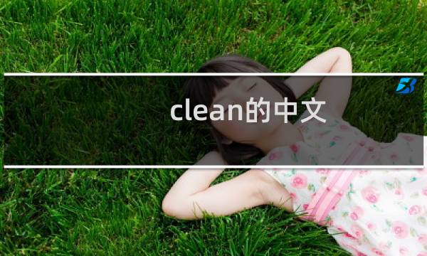 clean的中文 - clean翻译成中文是什么意思