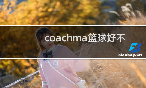 coachma篮球好不好图片