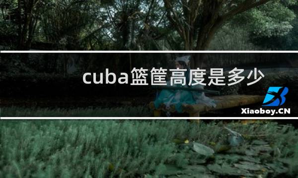 cuba篮筐高度是多少图片