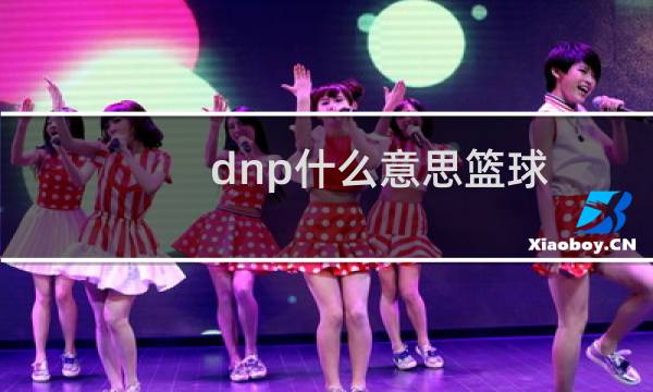 dnp什么意思篮球图片