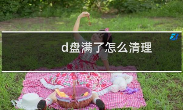 d盘满了怎么清理 - D盘满到变红色了怎么清理
