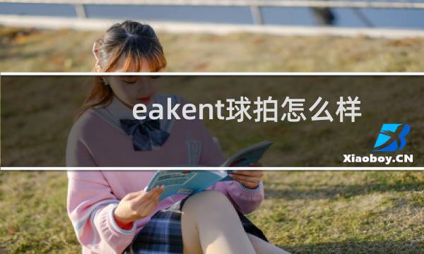 eakent球拍怎么样图片