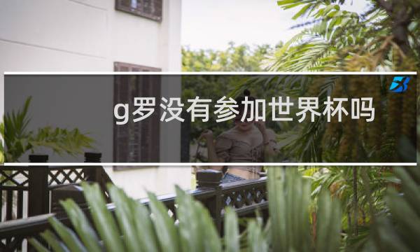 g罗没有参加世界杯吗图片