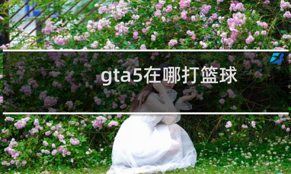 gta5在哪打篮球图片