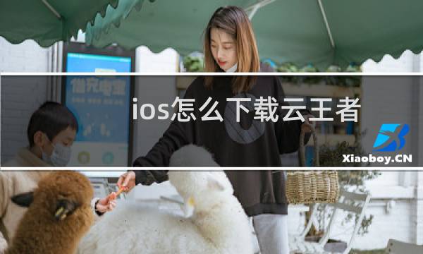 ios怎么下载云王者图片