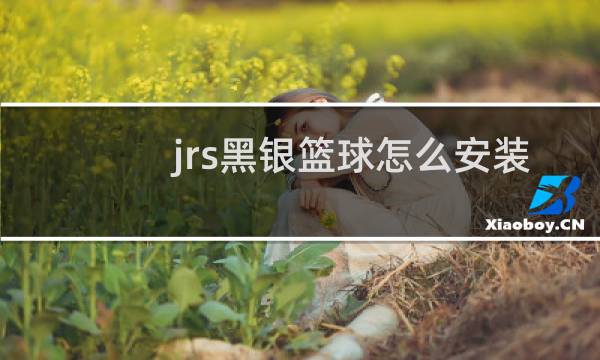 jrs黑银篮球怎么安装图片