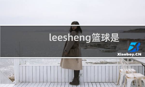 leesheng篮球是名牌吗图片