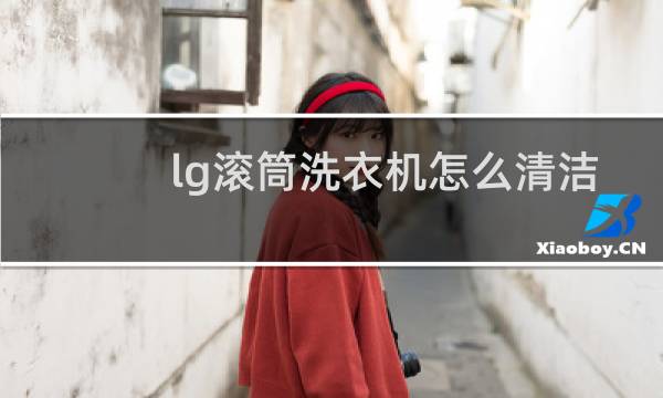 lg滚筒洗衣机怎么清洁 - lg滚筒洗衣机清洗按哪个键