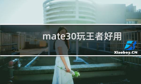 mate30玩王者好用吗图片