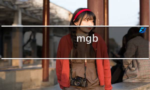 mgb.jdng篮球什么品牌图片