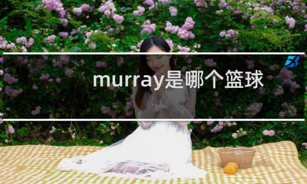 murray是哪个篮球明星图片