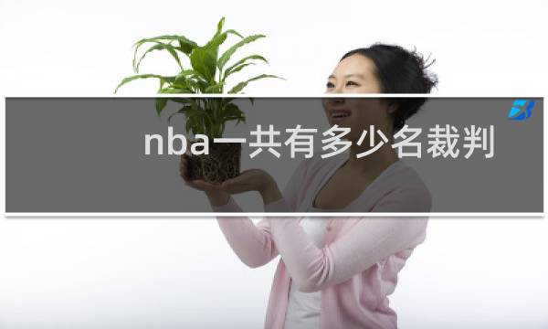 nba一共有多少名裁判图片