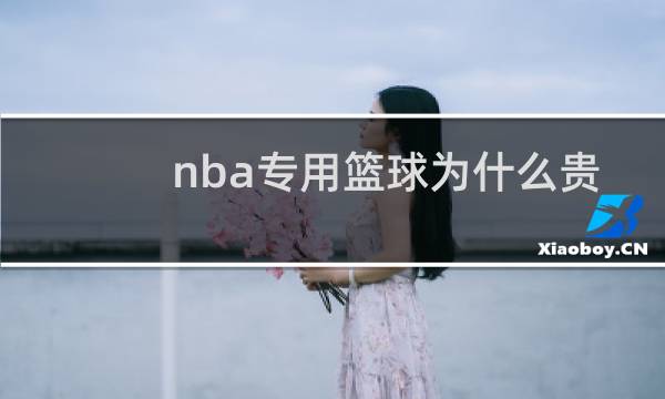 nba专用篮球为什么贵图片